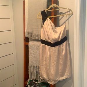 BCBGeneration Blush Dress / 10